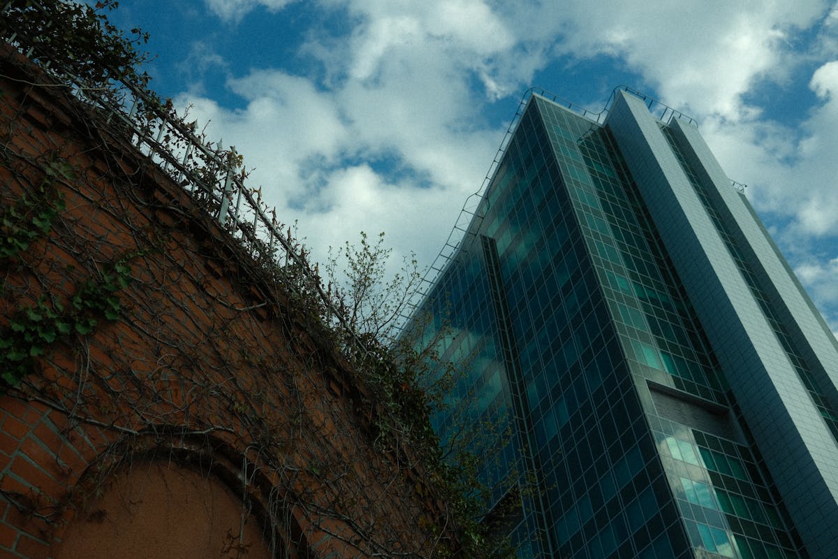 The Modern Environment Wasn't Built for Your Health